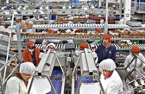 Guía práctica para recibir bonos y ayudas tributar... | CONSULTORÍA VEGA | Asesorías Tributarias
